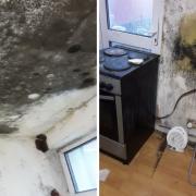 The white kitchen walls and ceiling have been turned black by mould