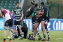 Hendon players celebrate a victory against at Allianz Park last season
