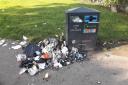 Rubbish in Roundwood Park leads to calls for bigger bins in Brent parks