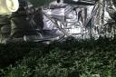 Police seize cannabis worth £1 million from NW2. Picture: Met Police