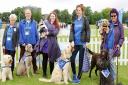 Saturday's Hounds on the Heath dog show