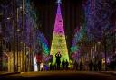 Winterfest in Wembley Park begins with the switch on of 100,000 kinetic lights which pulse to different rhythms on display on the 25-metre-high walk-through tree,