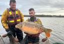 A massive Mirror Carp was rescued from Welsh Harp Reservoir