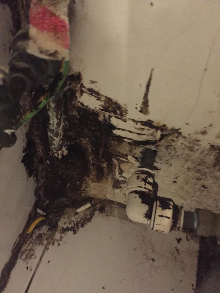 Black Mould. One resident said the mould is so bad it\s giving my children asthma. Image Credit: London Renters Union