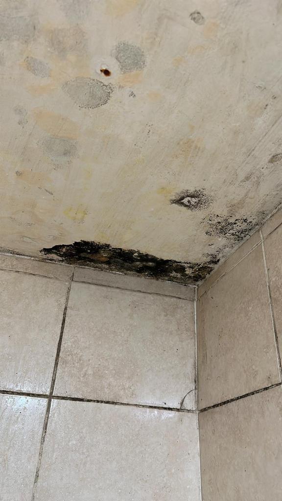 Damp And Mould On The Ceiling. London Renters Union describes an epidemic of unsafe housing in the borough. Image Credit: London Renters Union