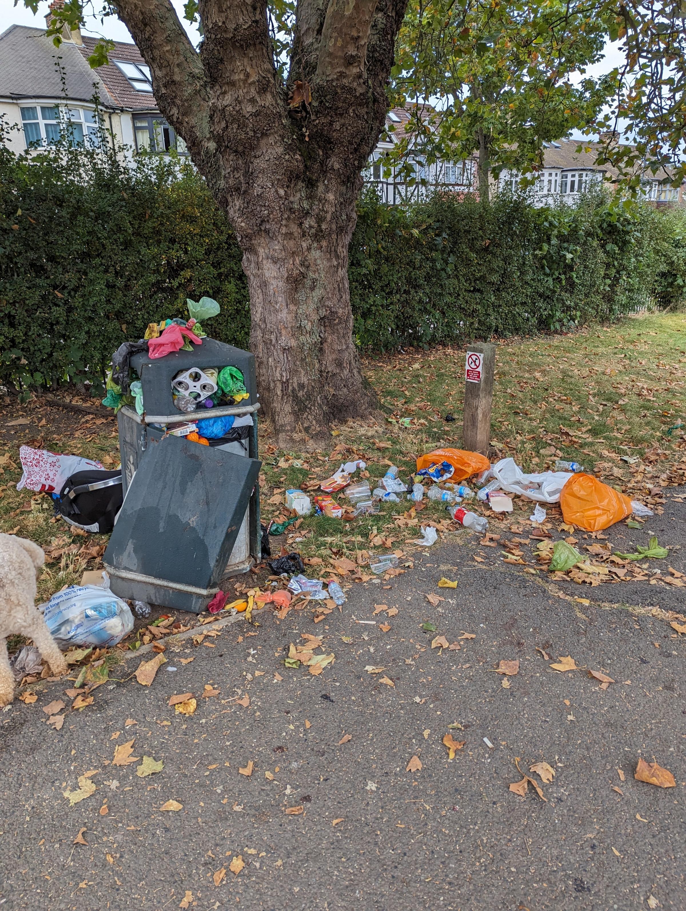 Overflowing Bins At King Edwards VII Rec. Residents claim the bins at King Edwards VII are overflowing with dog poo and rubbish’. Image Credit: Josh Mendelsohn