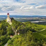 Vineyards in Austria's Kremstal region. Picture: Austrian Wine