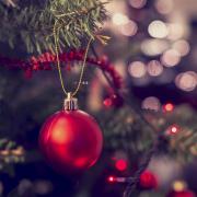 Pines and Needles has tips for how to preserve your Christmas tree