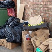 Residents in Kenton say the fly-tipping and stinking moulds of rubbish are attracting flies and maggots