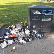 Rubbish in Roundwood Park leads to calls for bigger bins in Brent parks