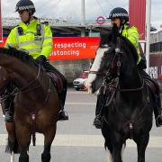 Mounted police officers in Wembley Park