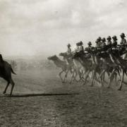 The camel regiment in action. Pic: SAAFI