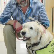 Dr Pike, Northwick Park Hospital's pet therapist, with owner consultant neonatal paediatrician Richard Nicholl