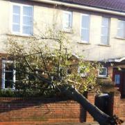 A tree has fallen on this house is Chesham Street in Neasden