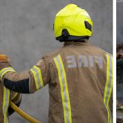 Dozens of animals have been rescued by Brent's fire service this year