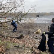 A clean-up event at Welsh Harp Reservoir