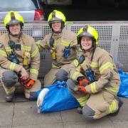 The swan was rescued by firefighters from Wembley