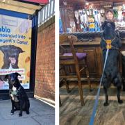 Pablo is a famous pooch in Kensal Rise