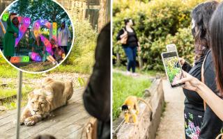 London Zoo is holding a series of adults-only Zoo Nights from Friday June 9 to Friday July 28