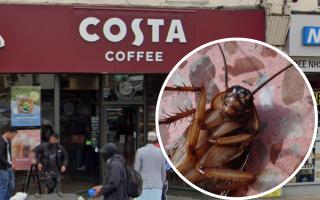 The Costa in Harlesden and a generic picture of a cockroach